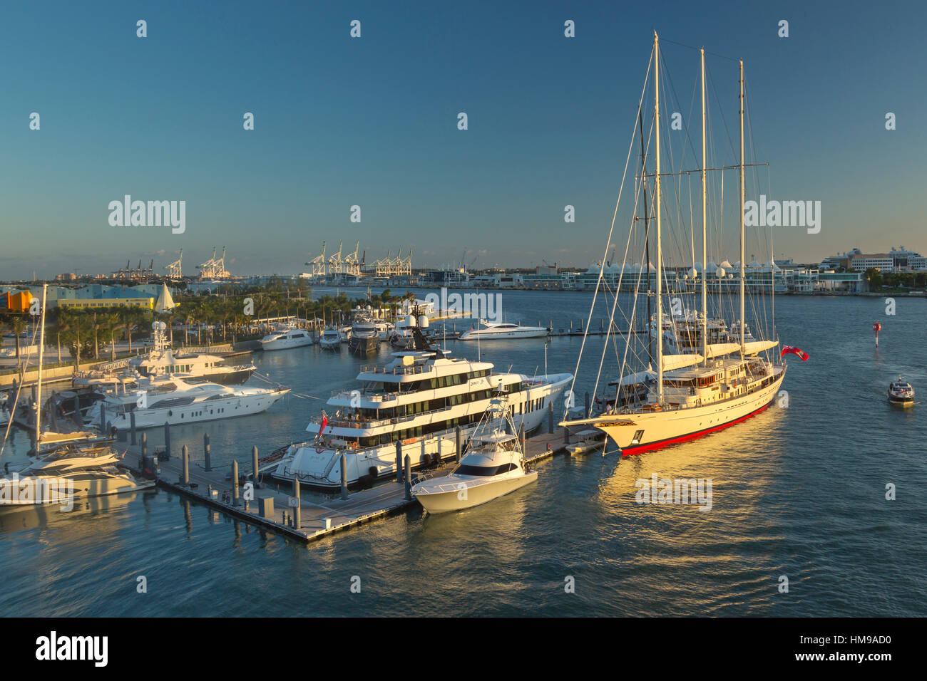 SUPERYACHTEN VERTÄUT AM INSEL GÄRTEN MARINA WATSON ISLAND REGIERUNG SCHNITT HAFEN VON MIAMI FLORIDA VEREINIGTE STAATEN Stockfoto