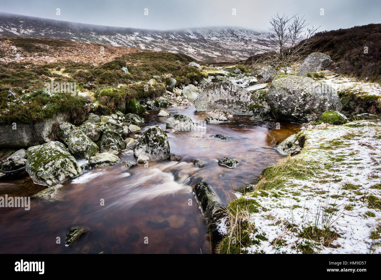 im Winter Schnee Stockfoto