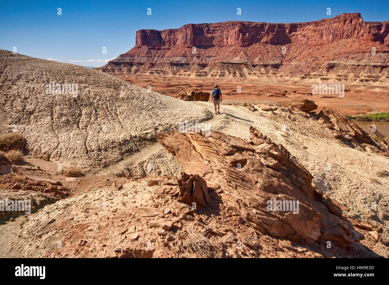 Wanderer auf Fort unten Trail, White Rim Road-Bereich, Canyonlands National Park, Utah, USA Stockfoto