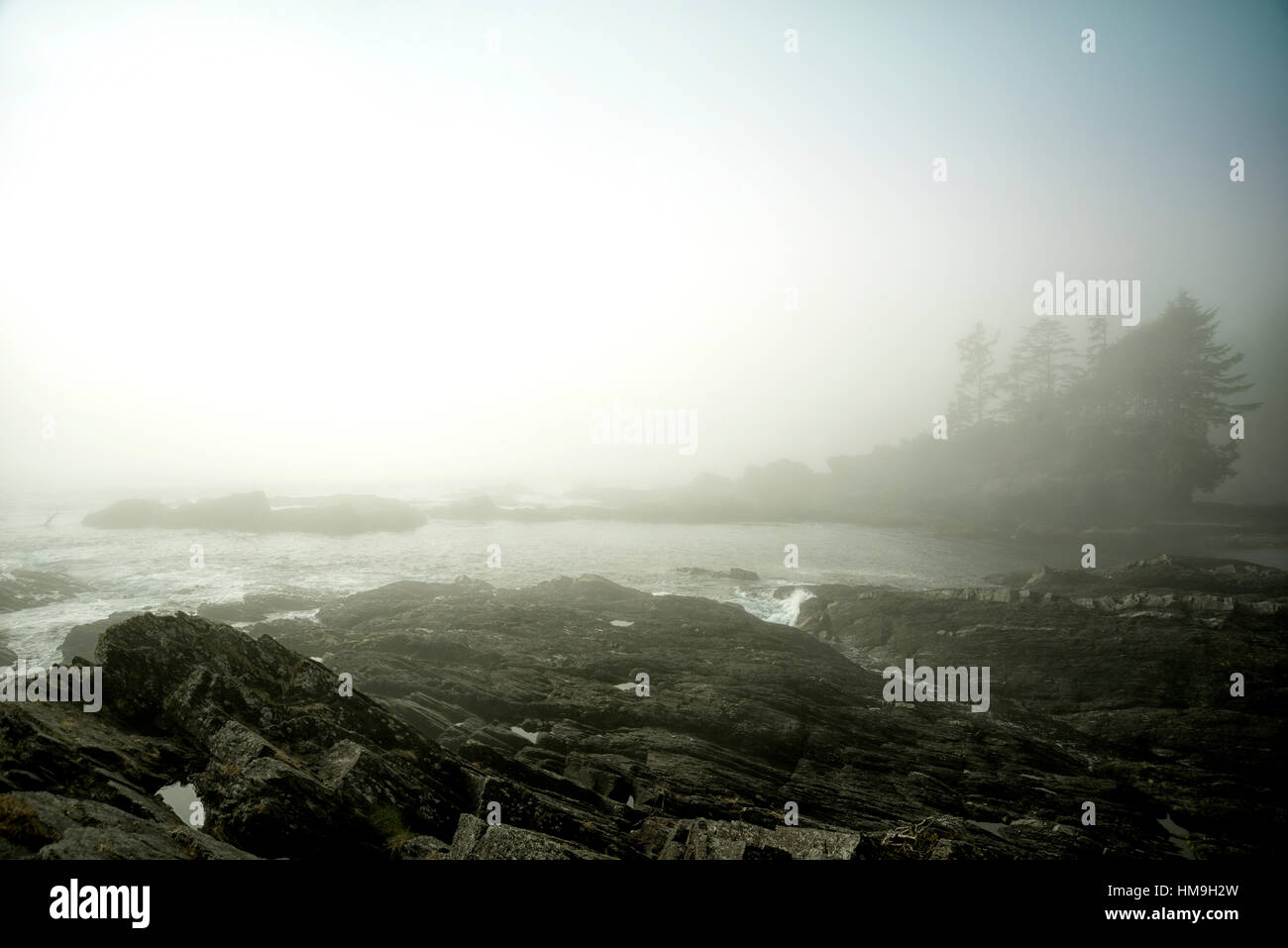 Natürliche Schönheit von Vancouver Island - schwere nebligen Tag im Botanical Beach, Juan de Fuca Provincial Park, Vancouver Island Stockfoto