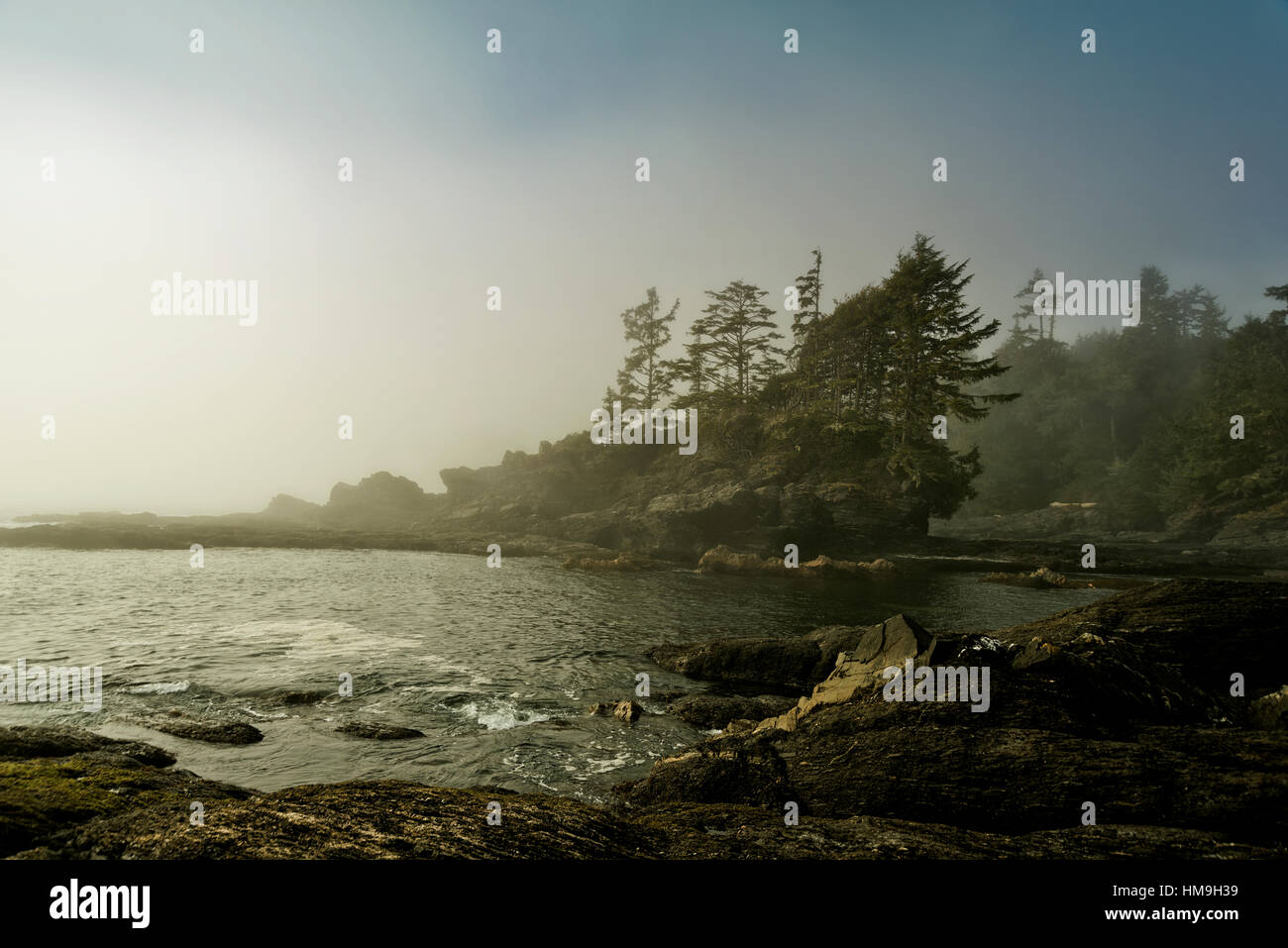 Natürliche Schönheit von Vancouver Island - nebligen Tag im Botanical Beach 2, Juan de Fuca Provincial Park, Vancouver Island Stockfoto