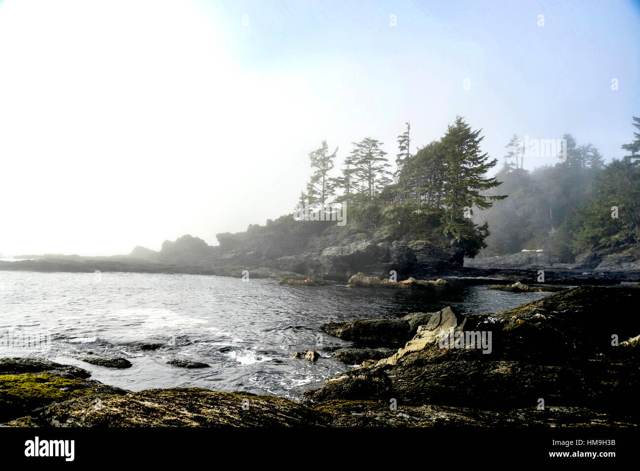 Natürliche Schönheit von Vancouver Island - nebligen Tag im Botanical Beach, Juan de Fuca Provincial Park, Vancouver Island Stockfoto