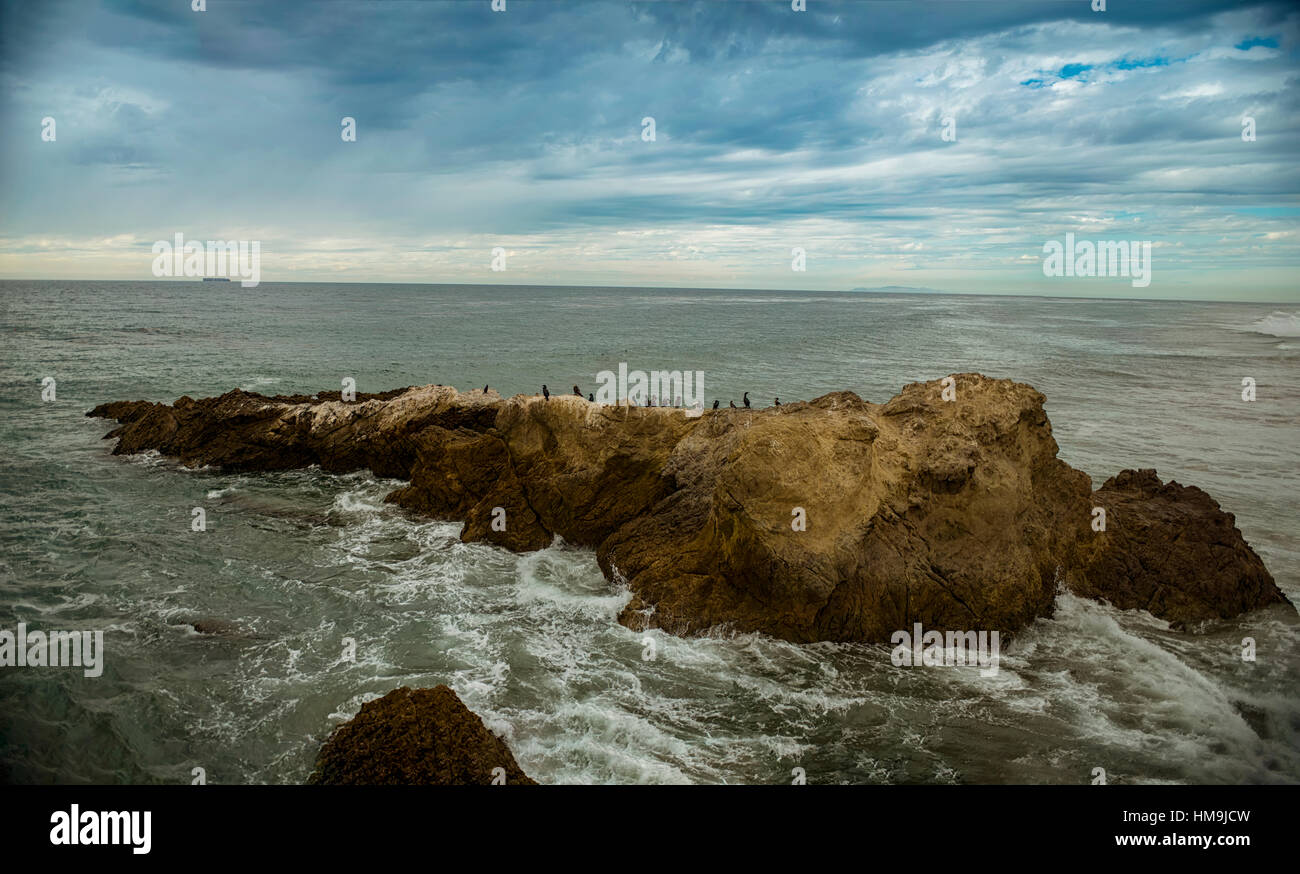 Strand in Kalifornien - viele Vögel bleiben auf dem Felsen, Zuma beach Stockfoto