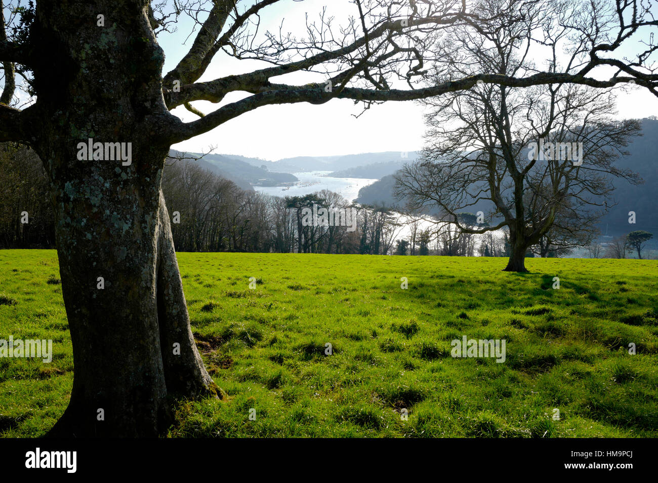 Dart-Mündung, South Devon, UK Stockfoto