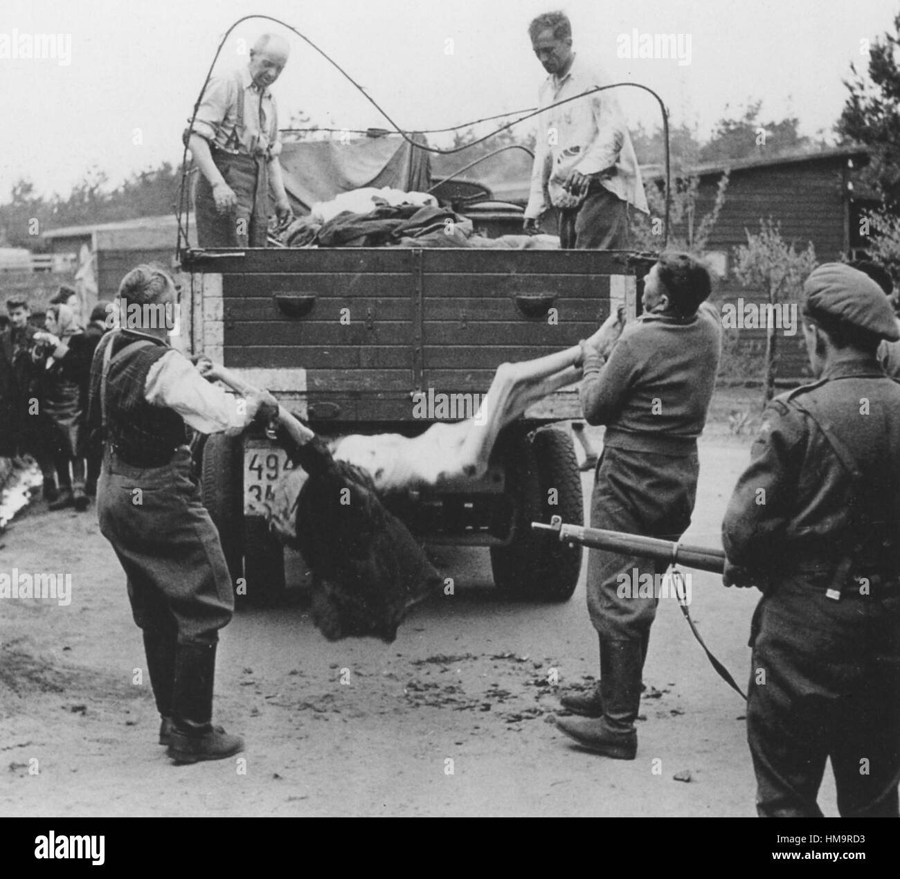 KZ Bergen-Belsen deutschen Wachen und Zivilisten sind gezwungen, Leichen für das Begräbnis zu laden, nach der Befreiung des Lagers am 15. April 1945 Stockfoto