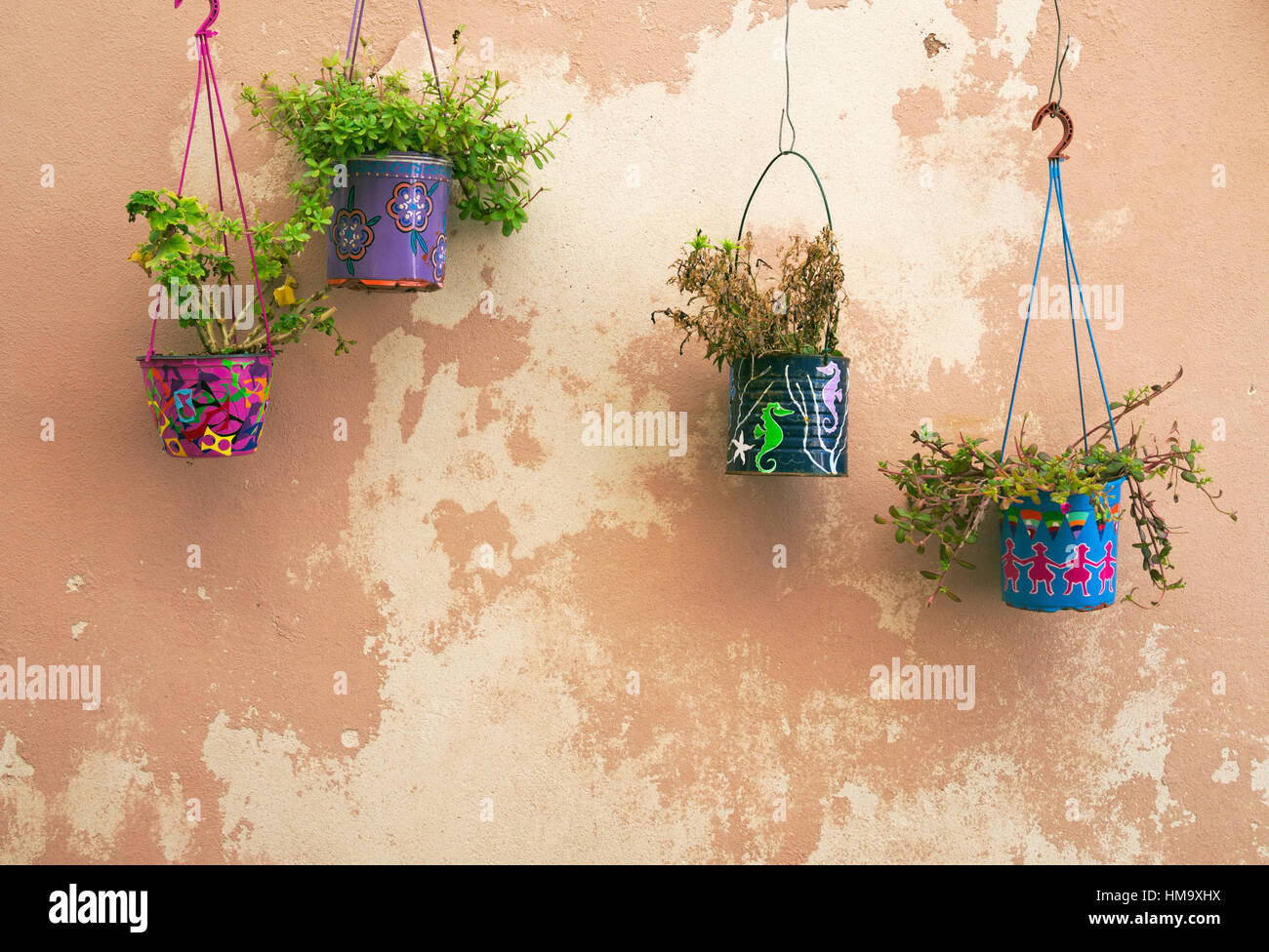 Pflanzen in Töpfen, die an einer Wand hängen. Mit abblätternder Farbe Stockfoto