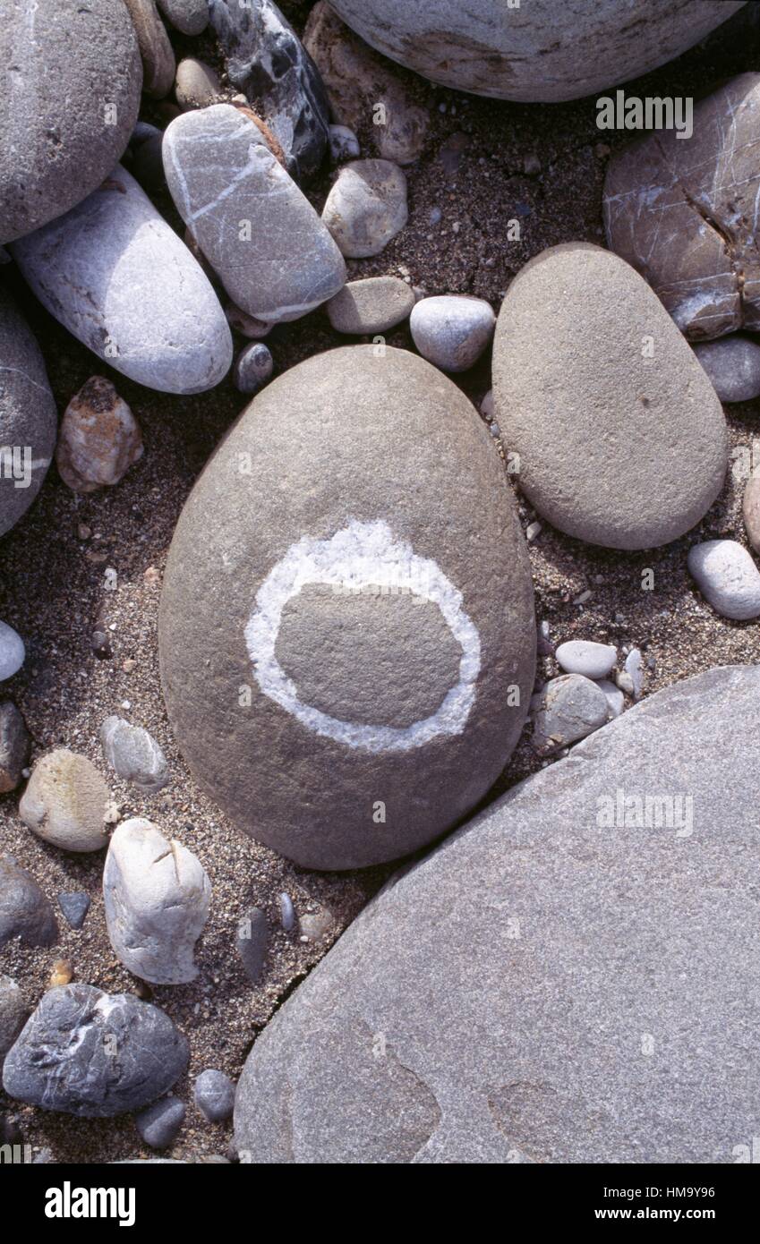 Rock mit weißen runden Design, Agia Galini, Kreta, Griechenland. Stockfoto