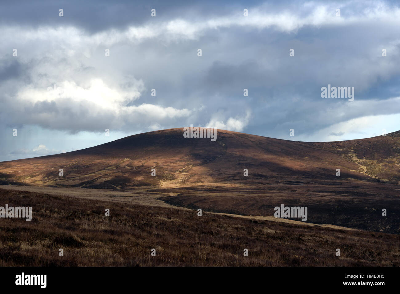 Weissen Berg - Wicklow Mountains - Irland Stockfoto