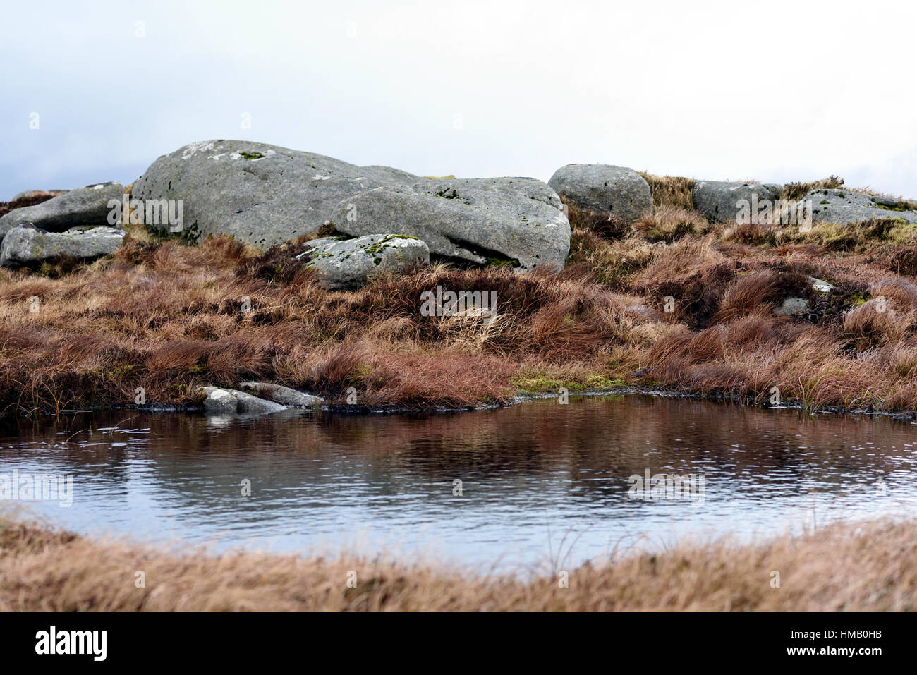 Carrigvore Gipfel - Wicklow Mountains - Irland Stockfoto