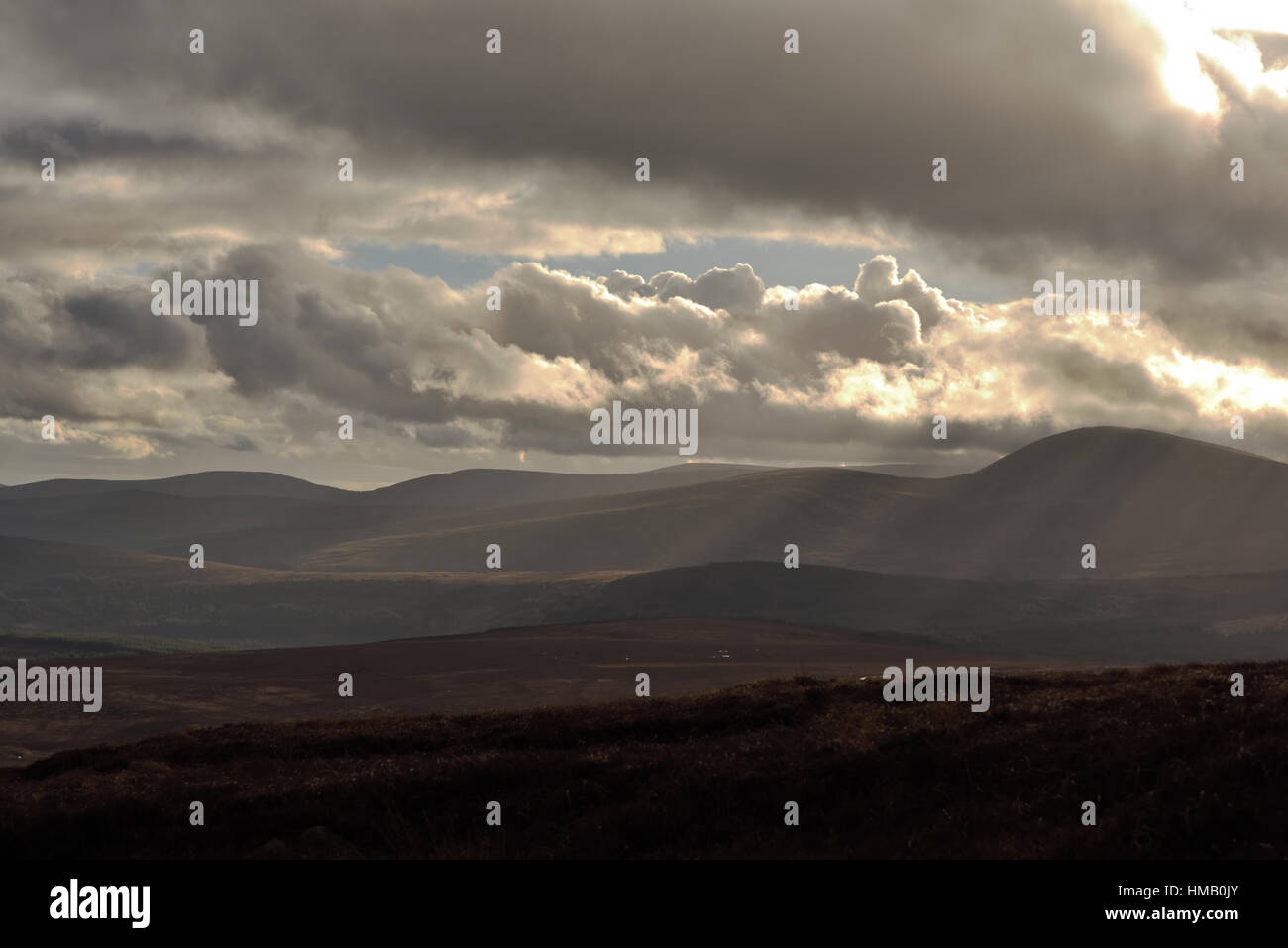 Winter in Wicklow Mountains Stockfoto