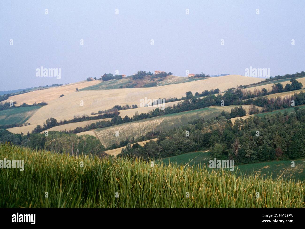 Landschaft mit Hügeln und Ortschaften entlang der Via Francigena oder Via Romea, Toskana, Italien. Stockfoto