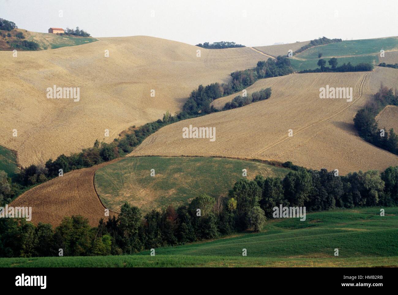 Landschaft mit Hügeln und Ortschaften entlang der Via Francigena oder Via Romea, Toskana, Italien. Stockfoto