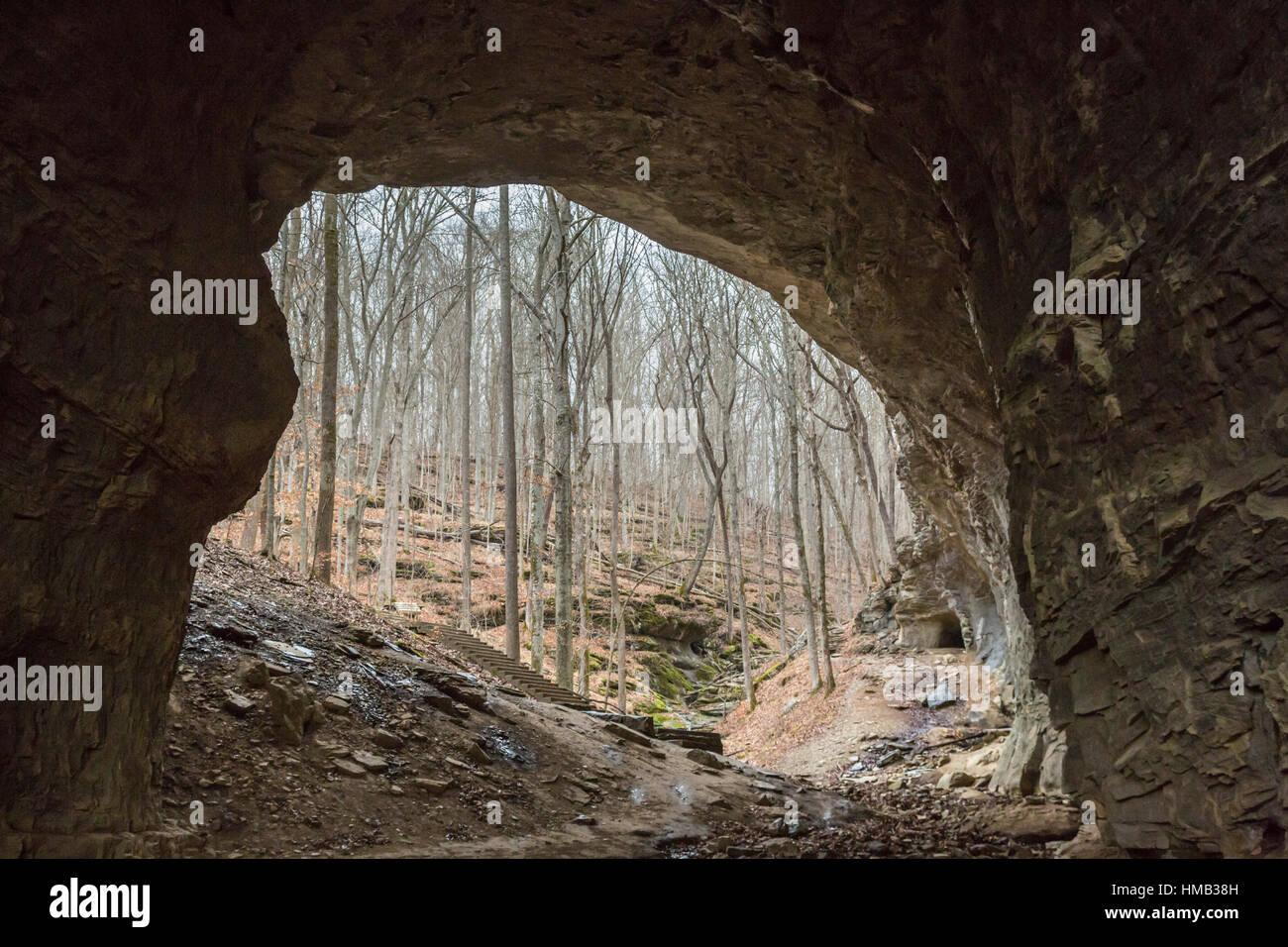 Olive Hill, Kentucky - rauchig-Brücke, eine natürliche Steinbrücke im Carter Höhlen State Resort Park. Der Park hat mehr als 20 Höhlen und natürliche Brücken. Stockfoto