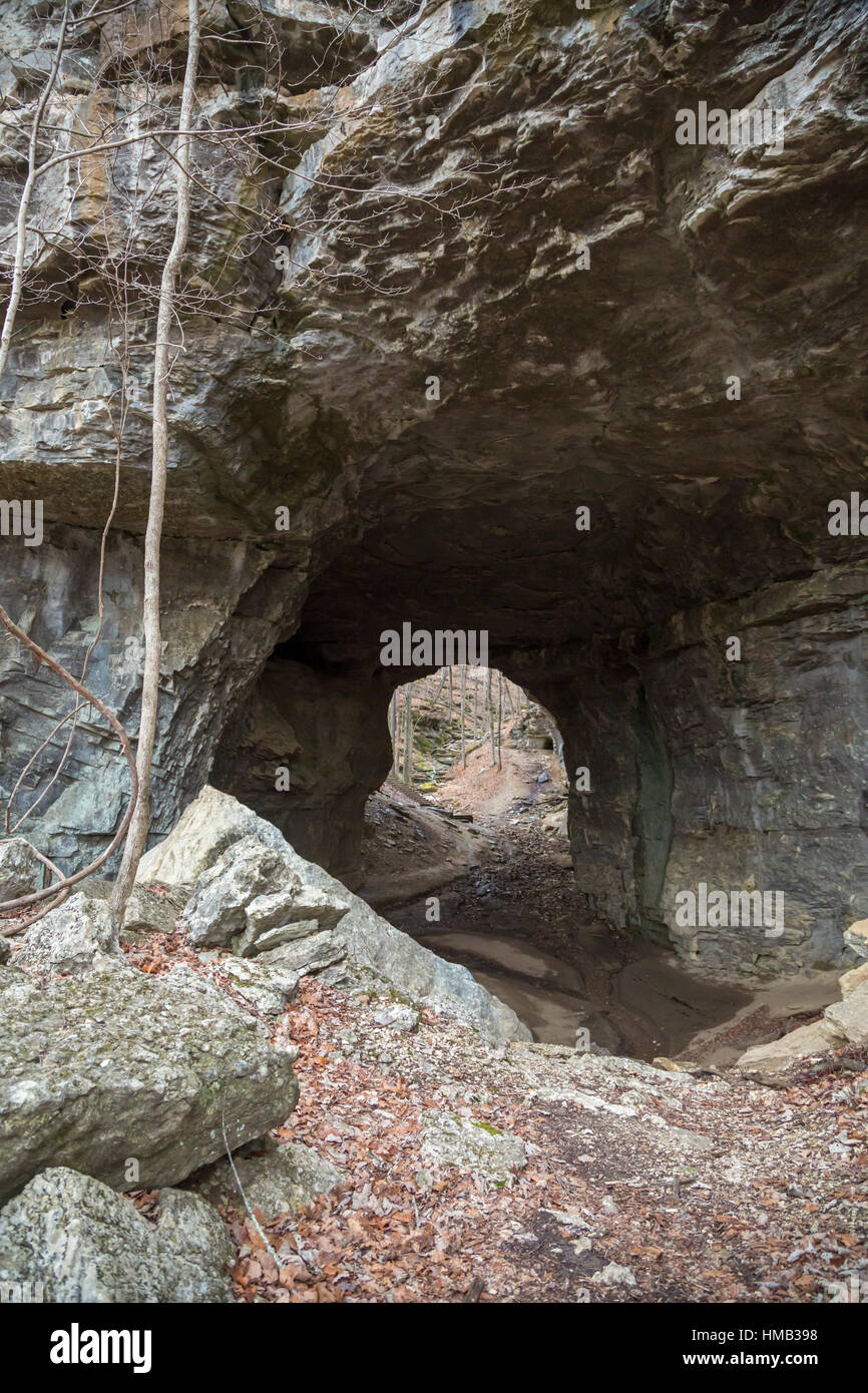 Olive Hill, Kentucky - rauchig-Brücke, eine natürliche Steinbrücke im Carter Höhlen State Resort Park. Der Park hat mehr als 20 Höhlen und natürliche Brücken. Stockfoto