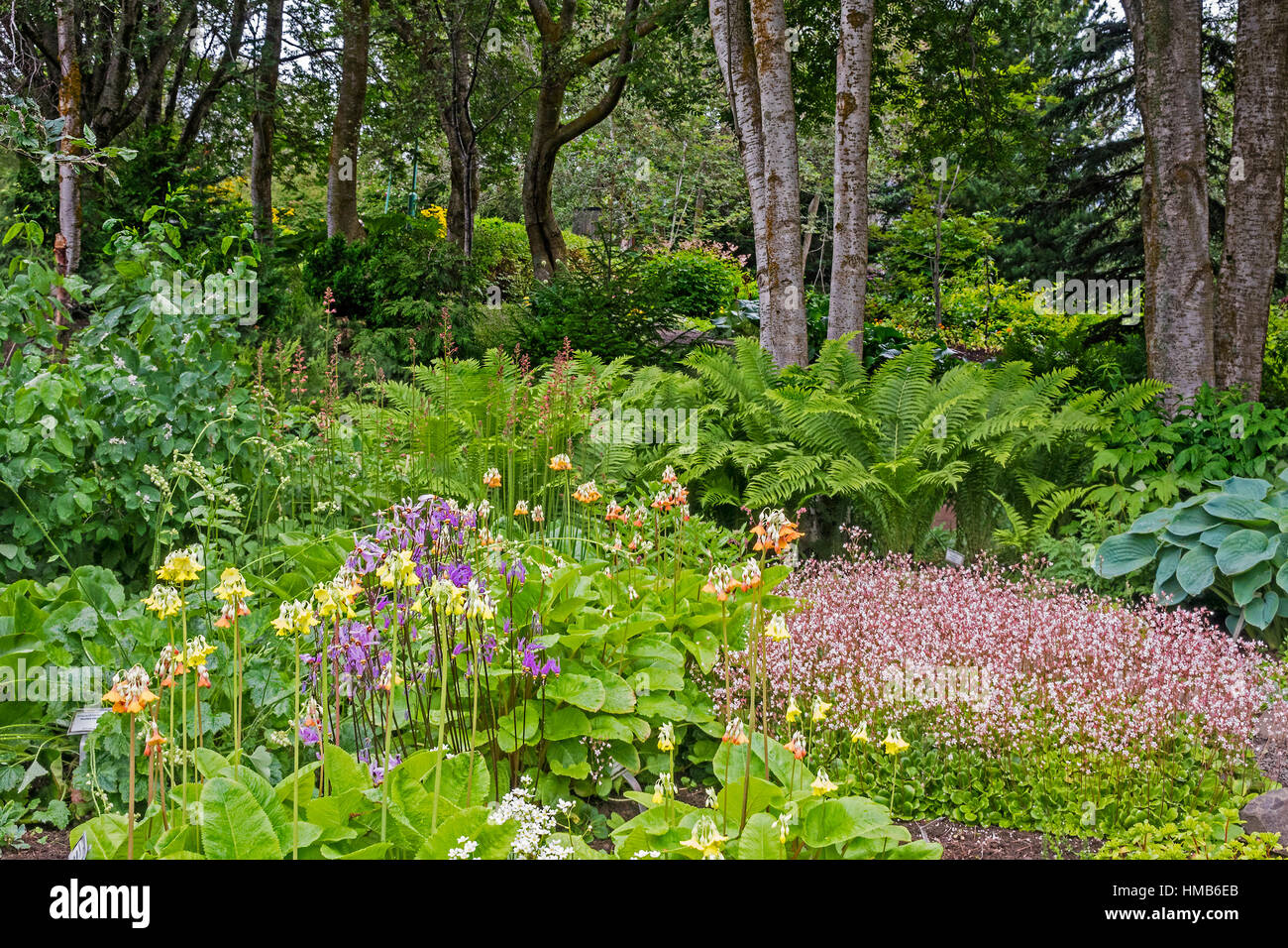 Botanischer Garten Akureyri Island Stockfoto