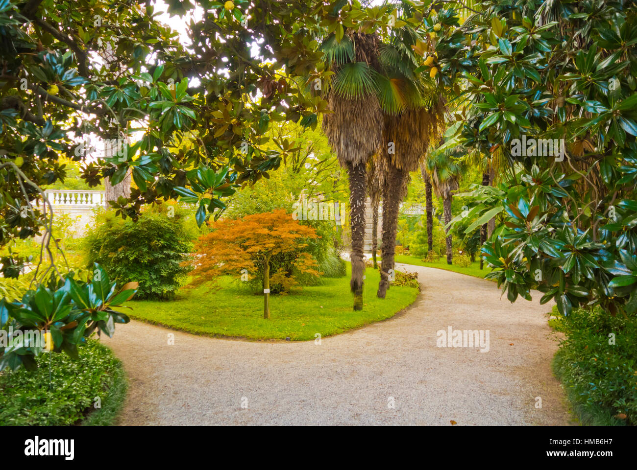 Orto Botanico Botanischer Garten Padua Veneto Italien