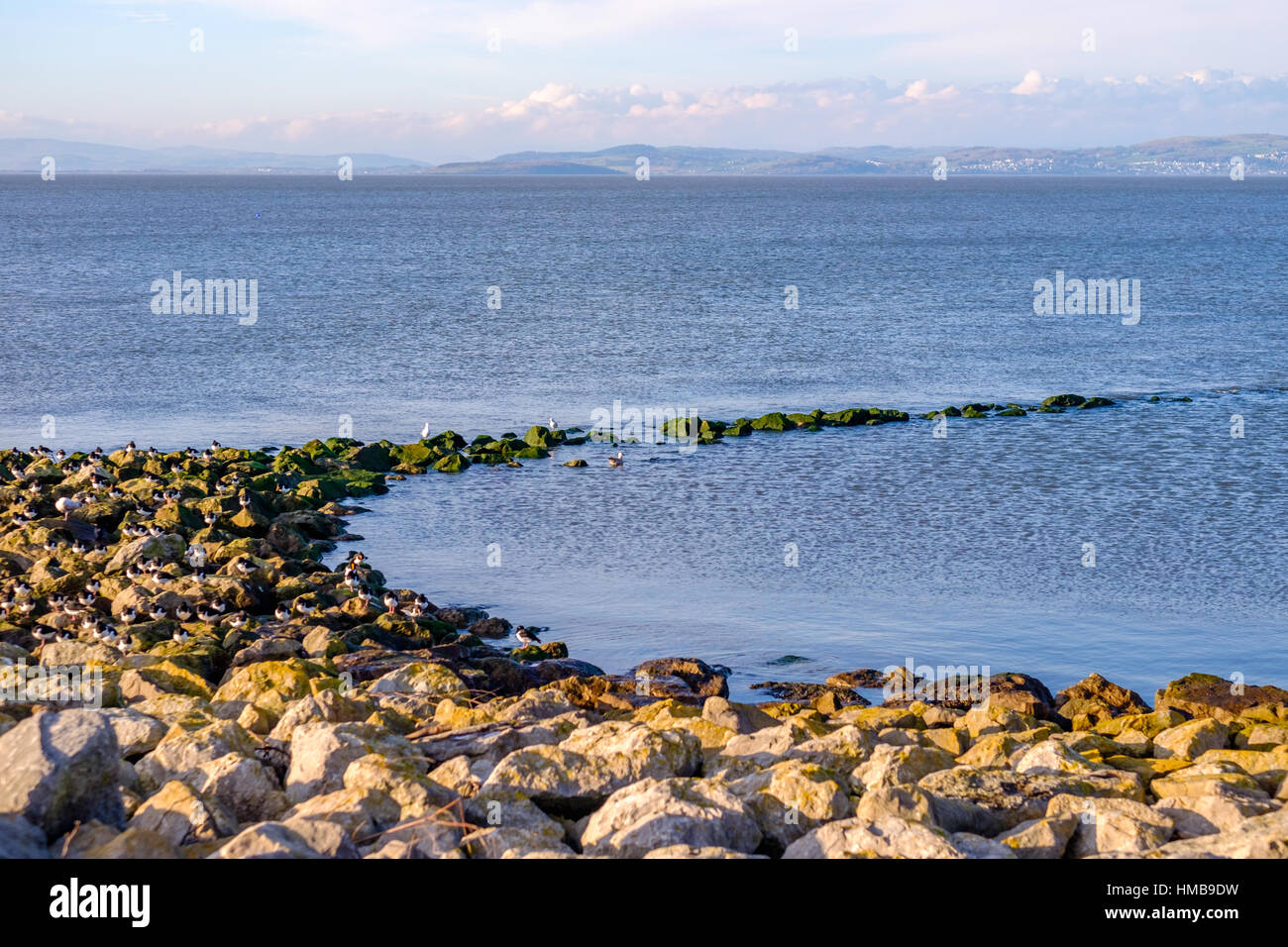 Morecambe Bay Wellenbrecher Stockfoto