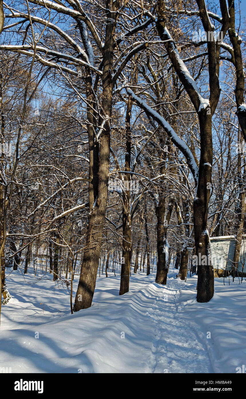 Schaufel vor kurzem Winter Spaziergänge im Park, Sofia, Bulgarien Stockfoto