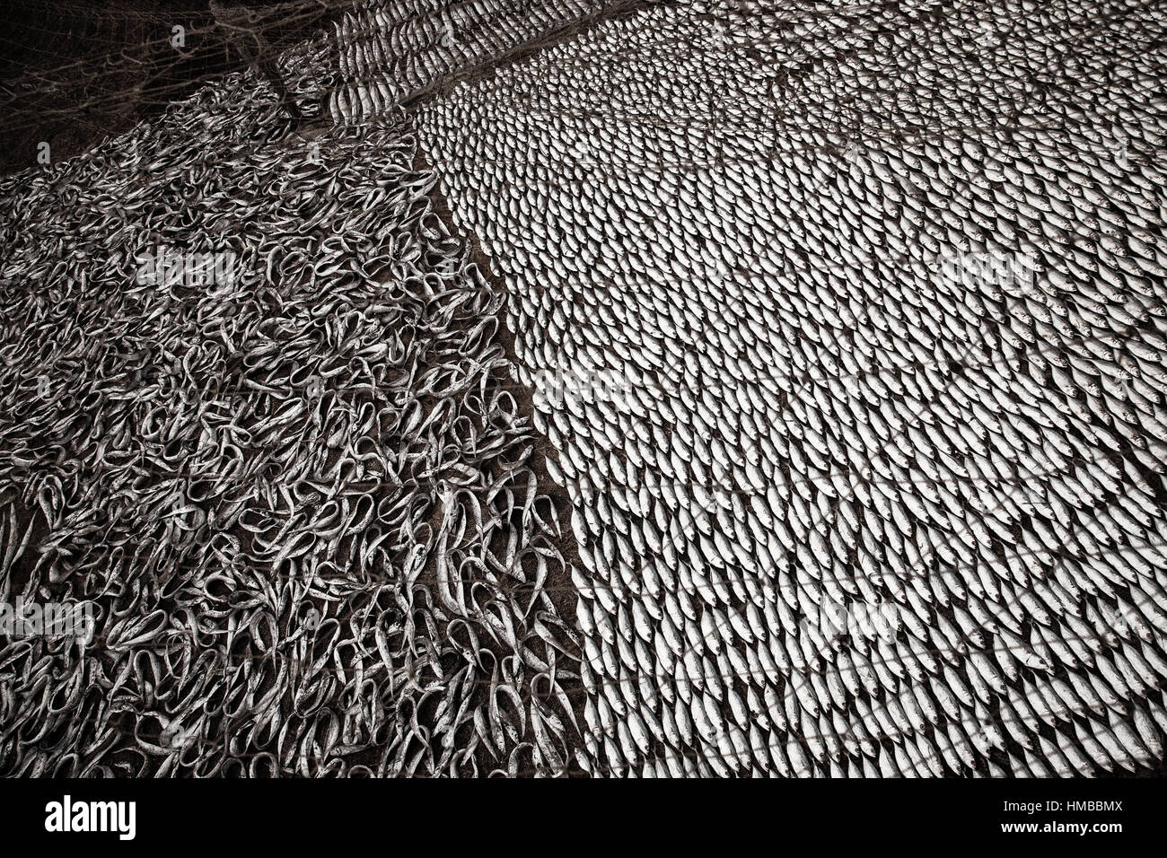 Indien Goa schwarz weißen monochromen Fischmuster Stockfoto