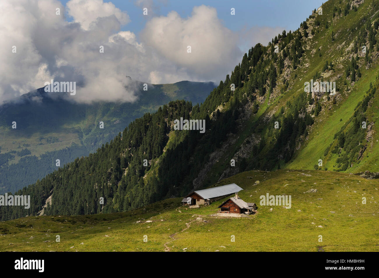 Wandern in den Bergen und Tälern rund um Mayrhofen in Österreich Stockfoto