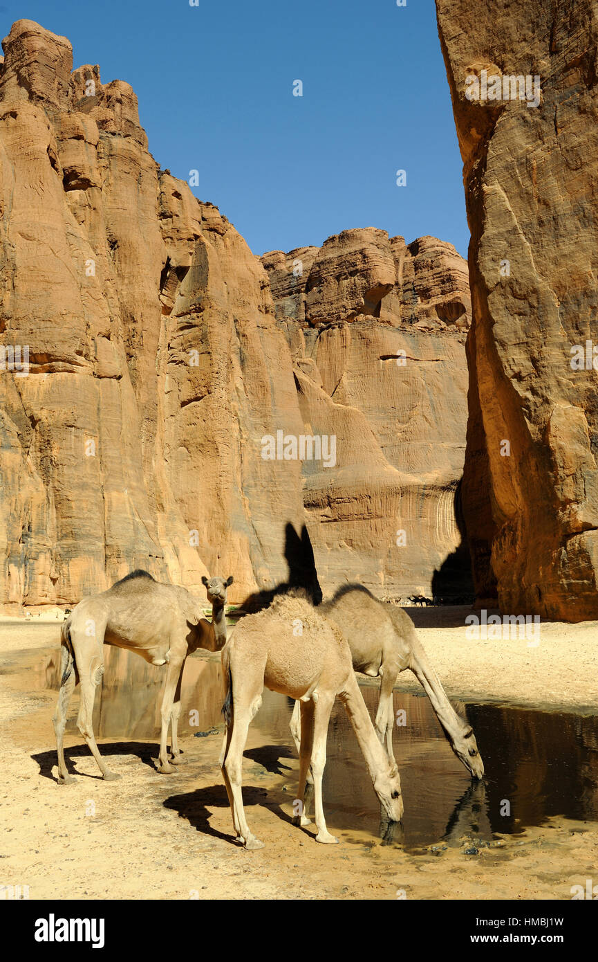 Tschad: das Ennedi Plateau Stockfoto