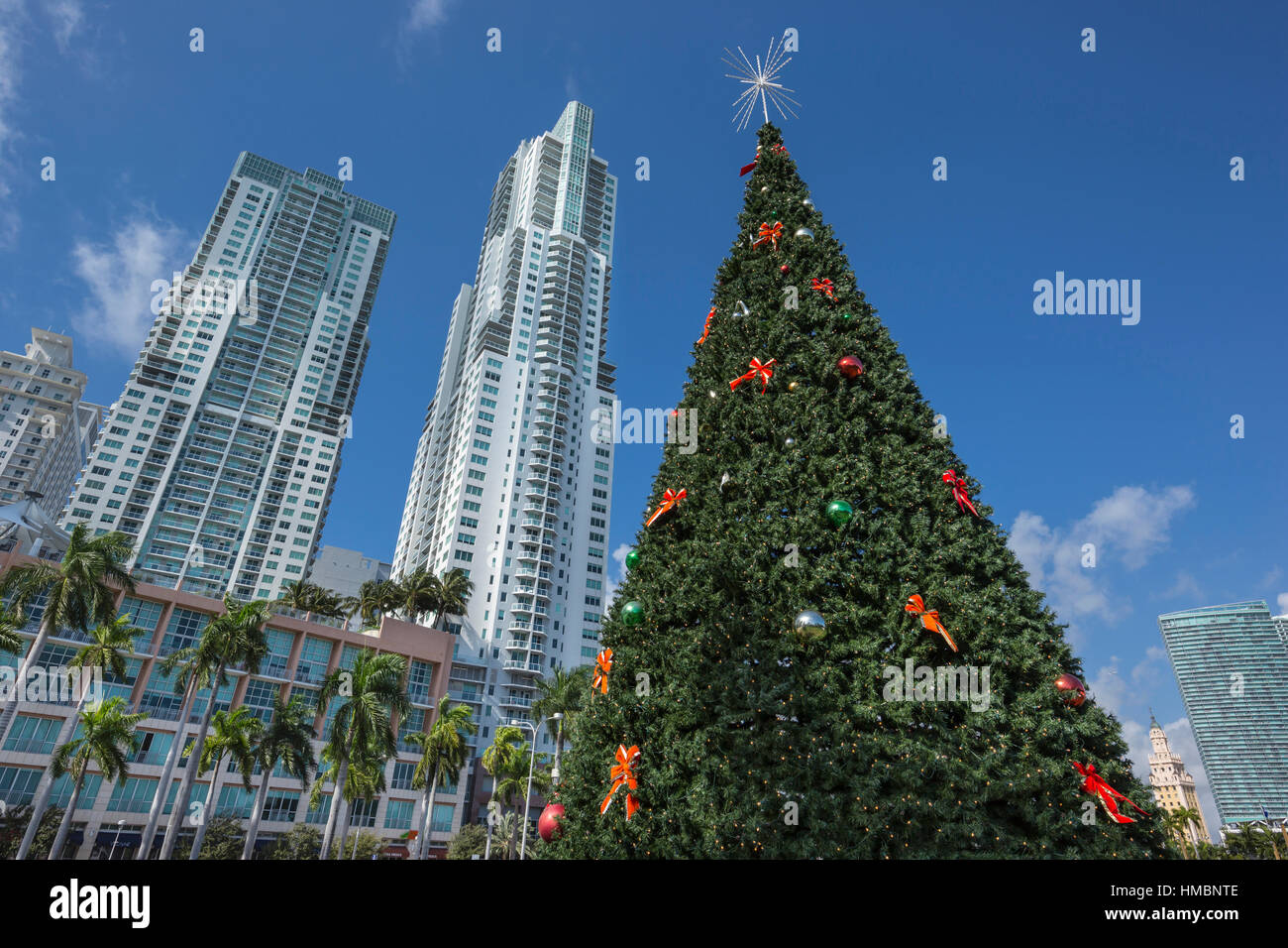 CHRISTMAS TREE BAYFRONT PARK SKYLINE VON DOWNTOWN MIAMI FLORIDA USA Stockfoto