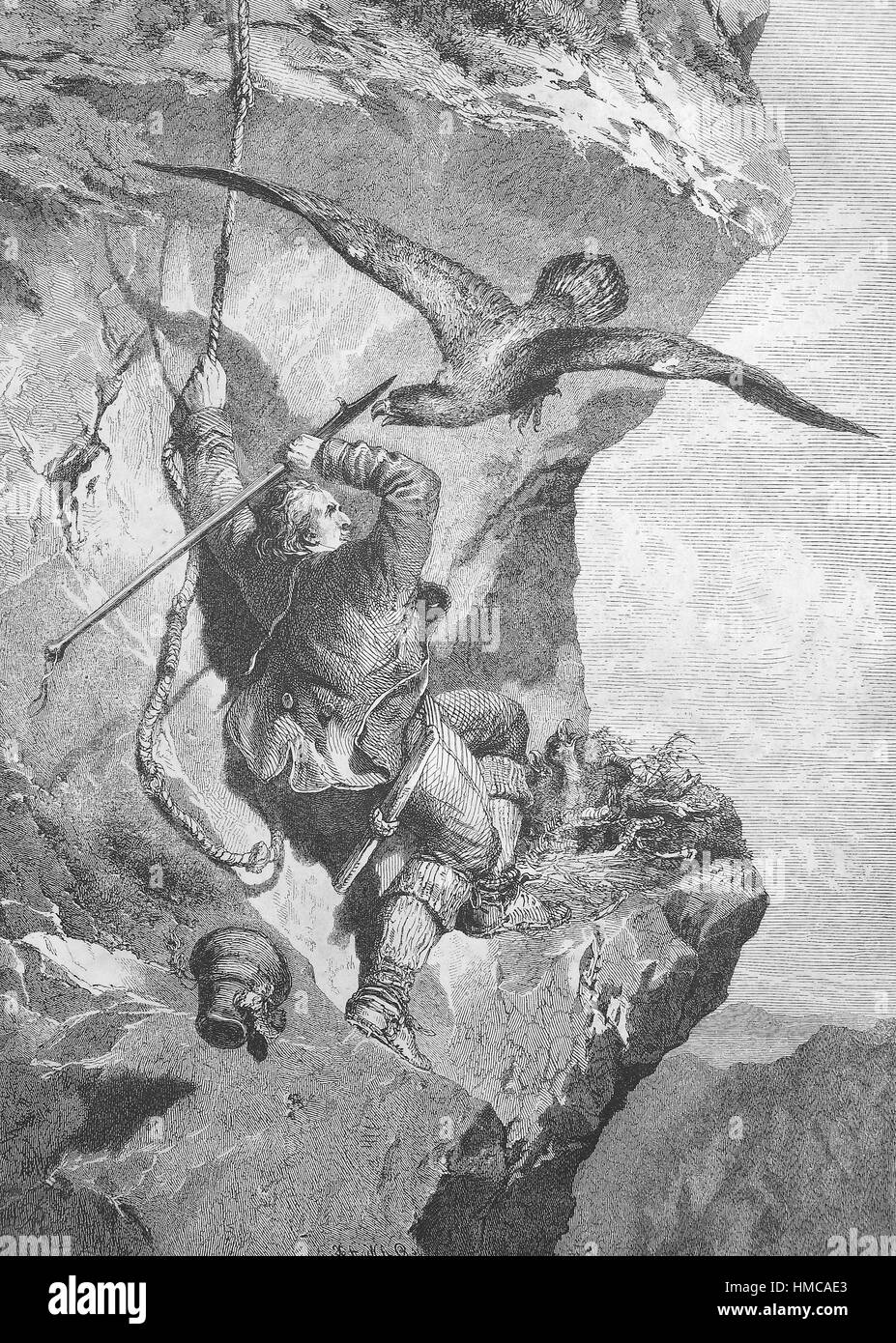 Mann will ein Adlernest plündern, der Adler greift ihn, Wilderer, Foto oder Illustration, veröffentlicht 1892, digital verbessert Stockfoto