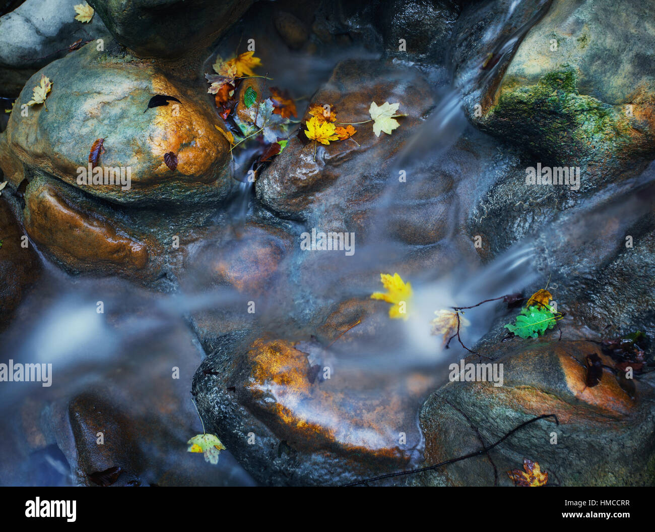 Steinen mit grünem Moos und bunten Herbst Blätter im Gebirgsfluss. Unscharfe Wasser. Natur-Hintergrund. Herbst. Stockfoto