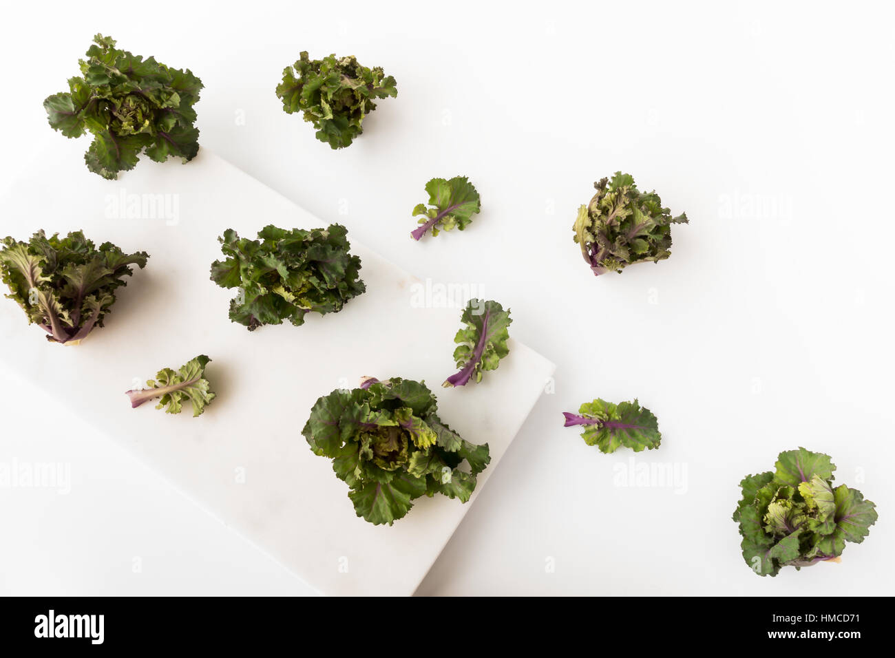 Kalettes auf weißen Marmor Tafel Stockfoto