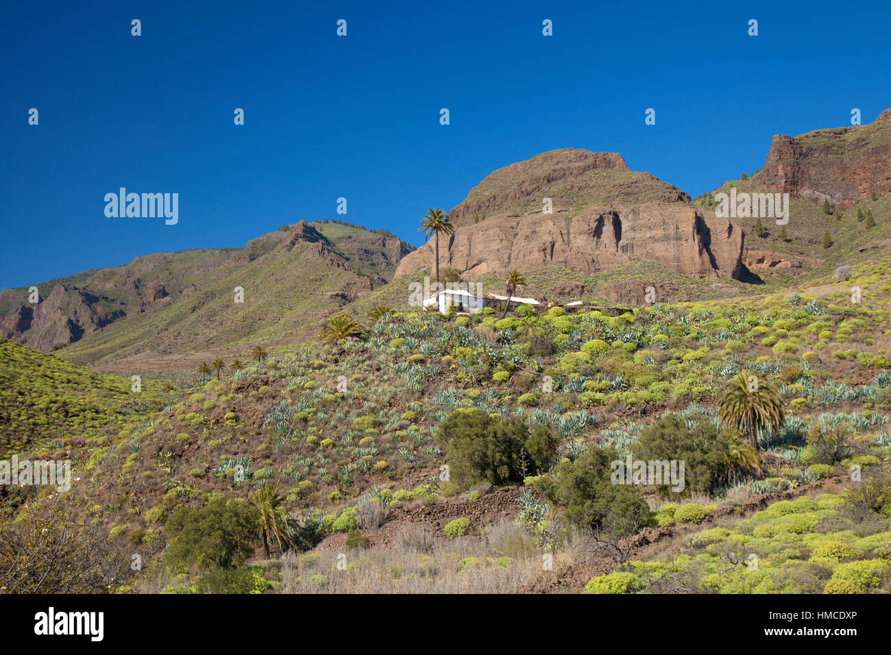 zentralen Gran Canaria im Januar, Tal von Tirajana, Bereich Adeje, verlassenen Haus Stockfoto