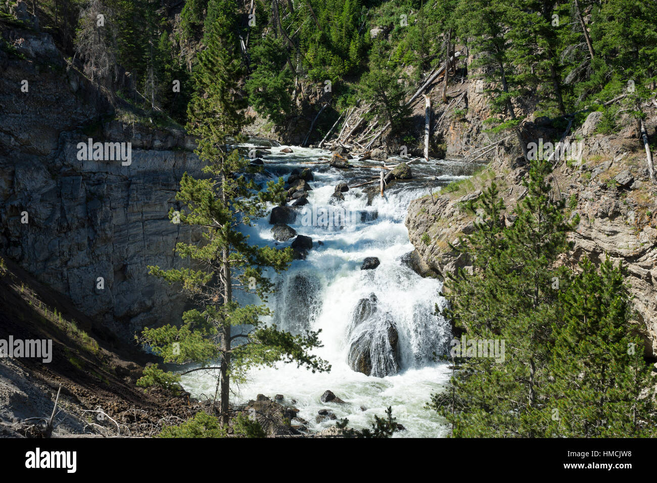 Firehole River,, Yellowstone-Nationalpark, Wyoming, USA Stockfoto