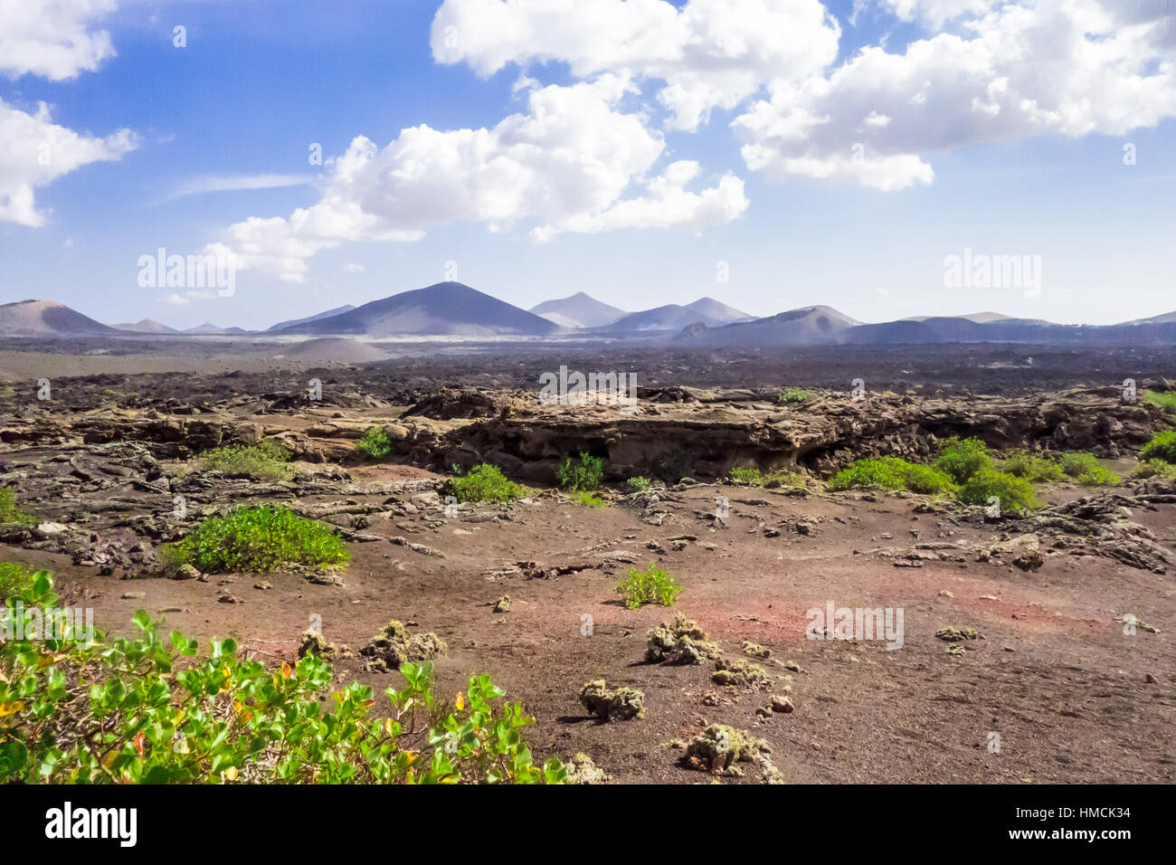 Vegetation wächst rund um Caldera De La Rilla, vor den Toren der Nationalpark Timanfaya auf Lanzarote. Stockfoto