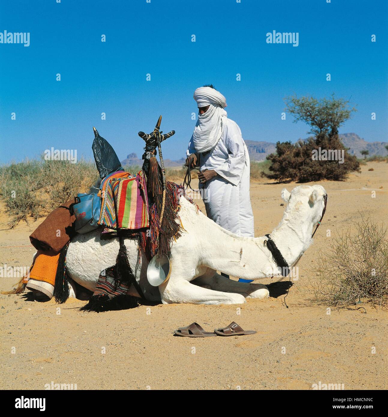 Ein Tuareg-Mann mit einem Kamel, Djanet, Tassili n ' Ajjer, Algerien. Stockfoto