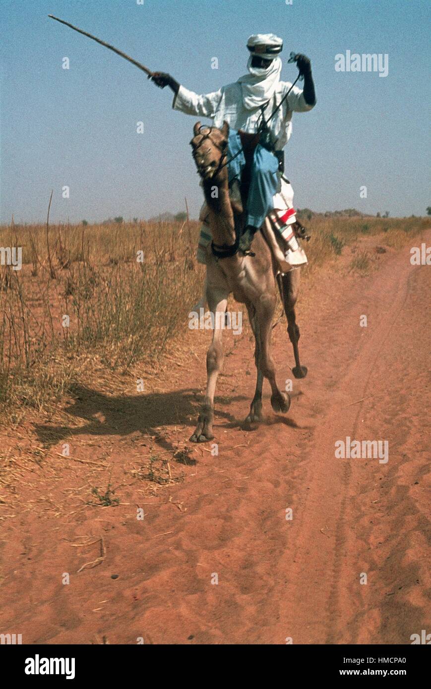 Tuareg Kamel-Treiber, Burkina Faso. Stockfoto