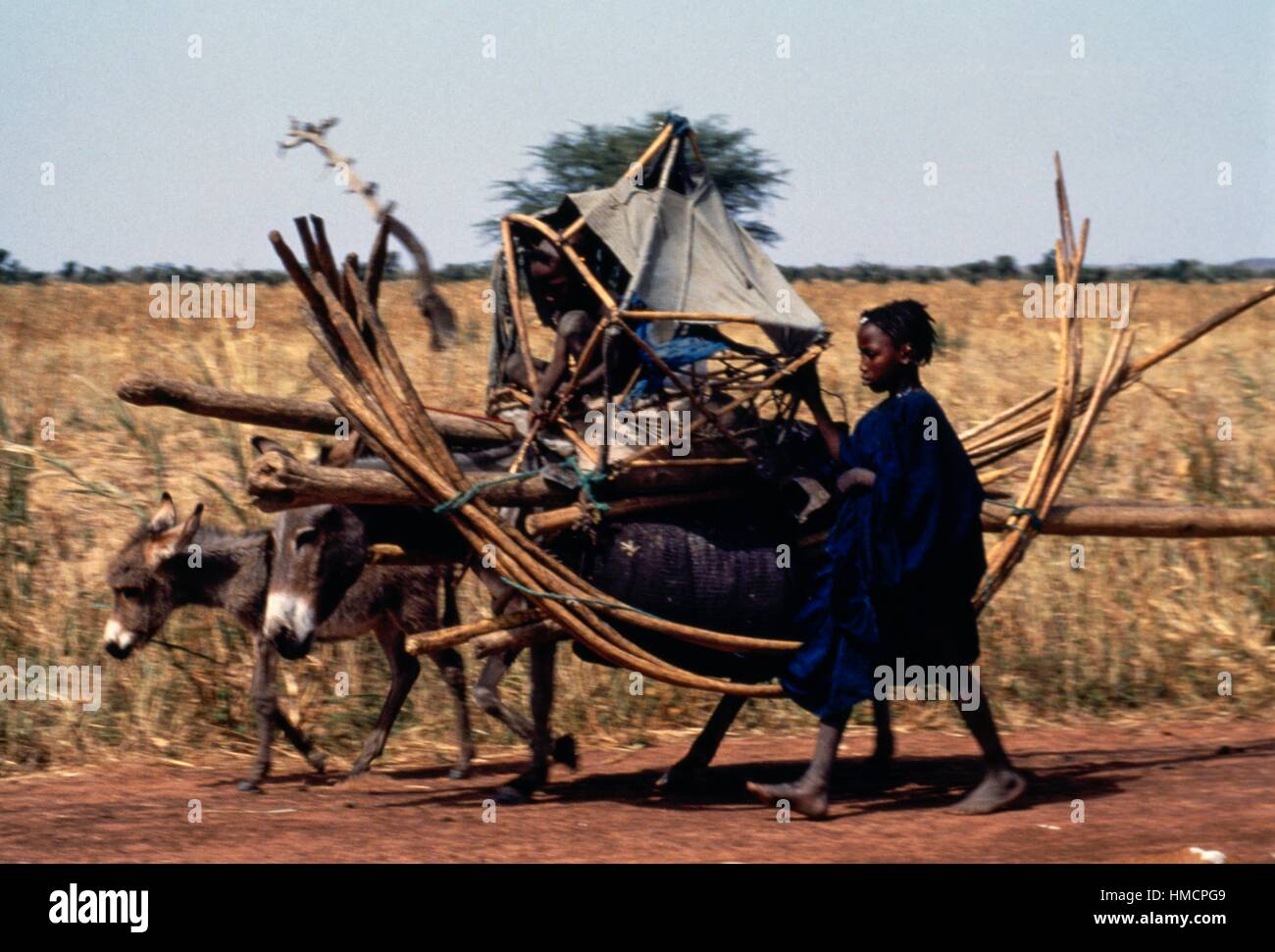 Kinder des Stammes nomadische Fulbe mit Eseln für den Transport von Zelten, Futa Jalon, Guinea. Stockfoto