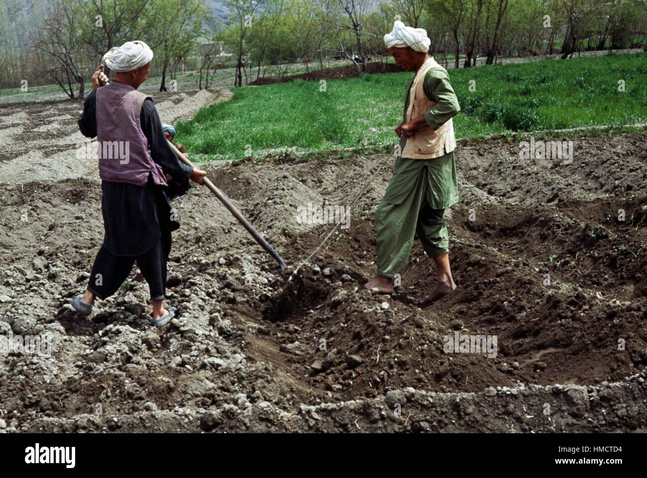 Die Bauern tragen Turbane in einem Bereich arbeiten, Afghanistan. Stockfoto