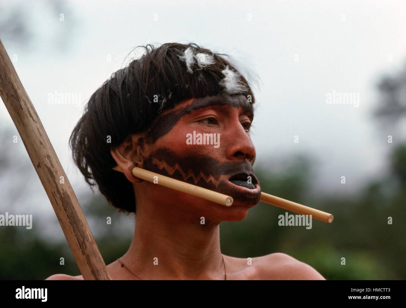 Yanomami-Krieger mit Lippe Disk (Mundlochplatte) und traditionellen Ornamenten, Venezuela. Stockfoto