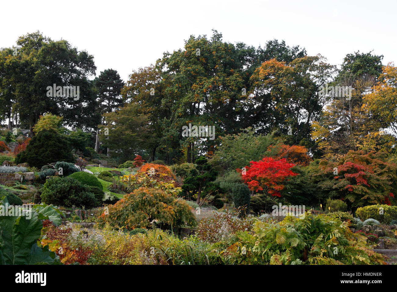 Die terrassenförmig angelegten Steingarten an der RHS Wisley Stockfoto