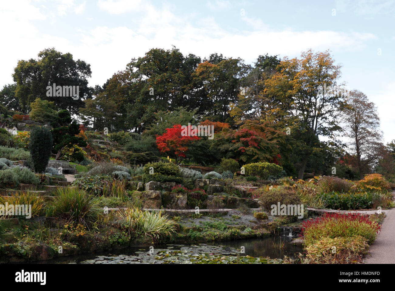 Die terrassenförmig angelegten Steingarten an der RHS Wisley Stockfoto