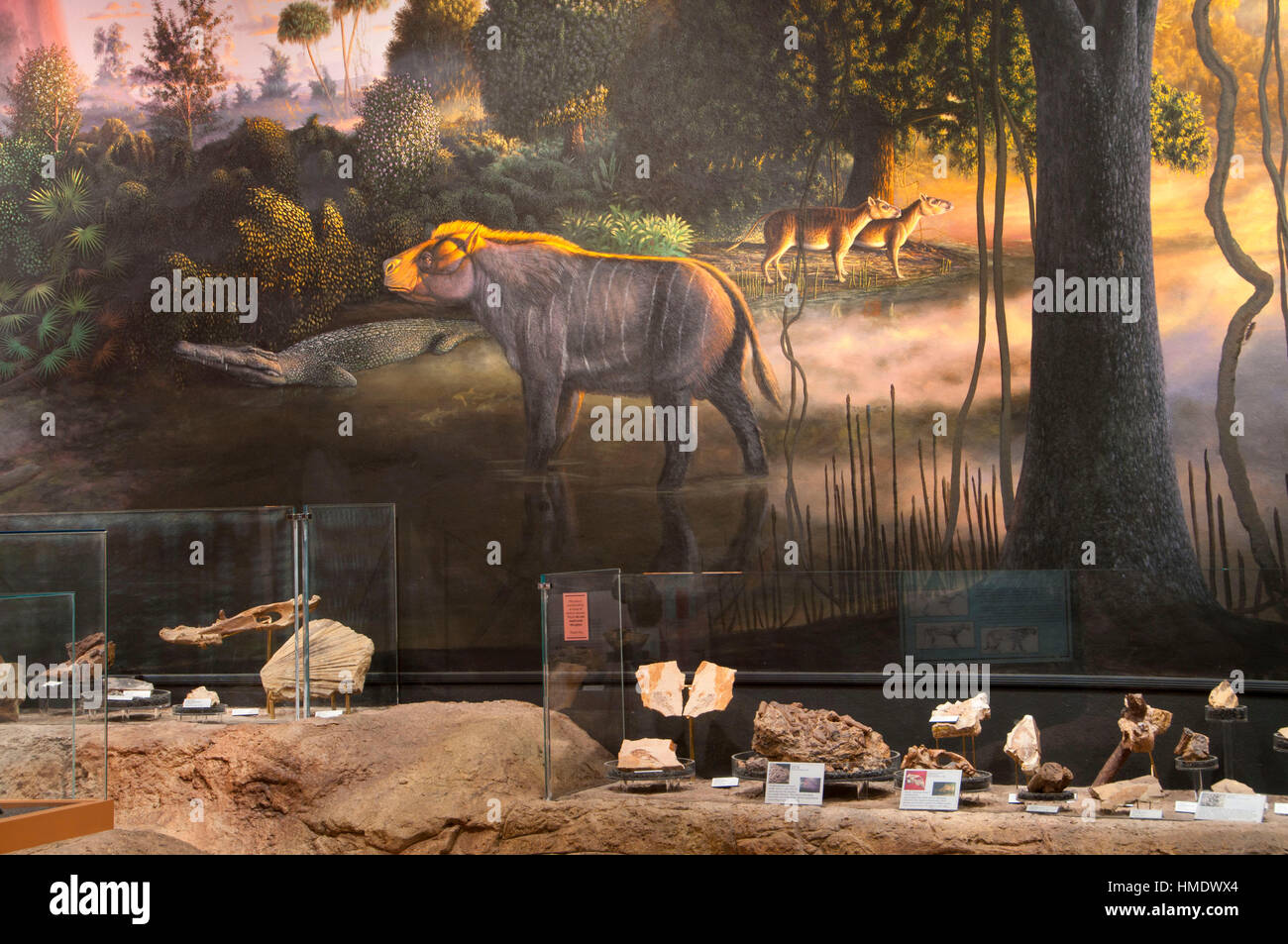 Fossilen Ausstellung an Thomas Condon Paläontologie Center, John Day Fossil Betten Nationaldenkmal-Sheep Rock Einheit, Oregon Stockfoto
