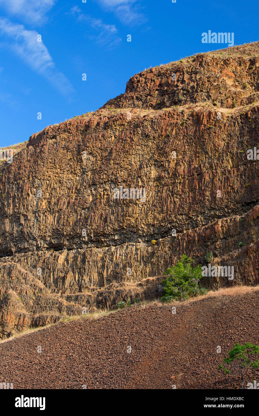 Basalt Felsen über John Day Wild and Scenic River, Cottonwood Canyon State Park, John Day River State Scenic Wasserstraße, Oregon Stockfoto