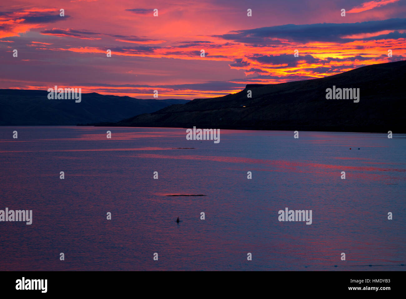 Columbia River Sonnenaufgang, Hafen von Arlington Marina, Arlington, Oregon Stockfoto