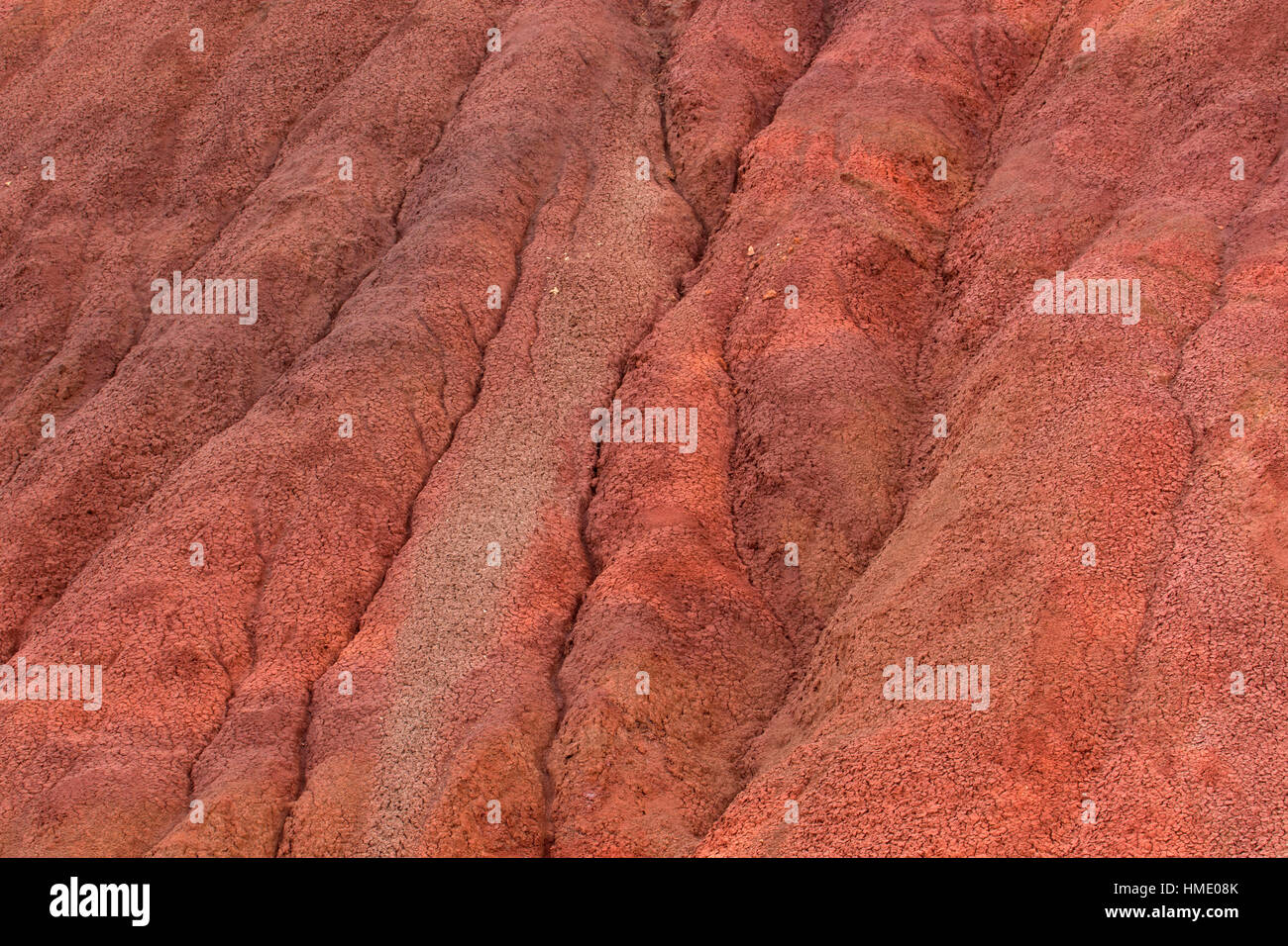 Red Hill Abhang entlang Red Hill Trail, John Day Fossil Beds National Monument-Painted Hügel Einheit, Oregon Stockfoto