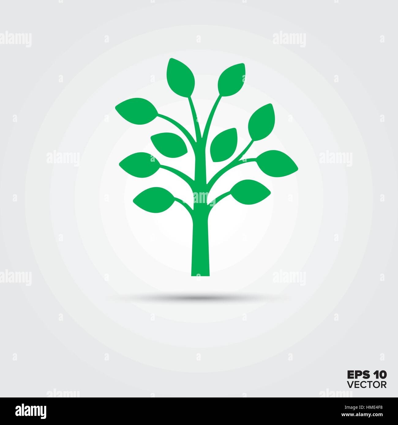 Grüner Baum Vektor Icon. Umwelt und Natur-Symbol. Stock Vektor