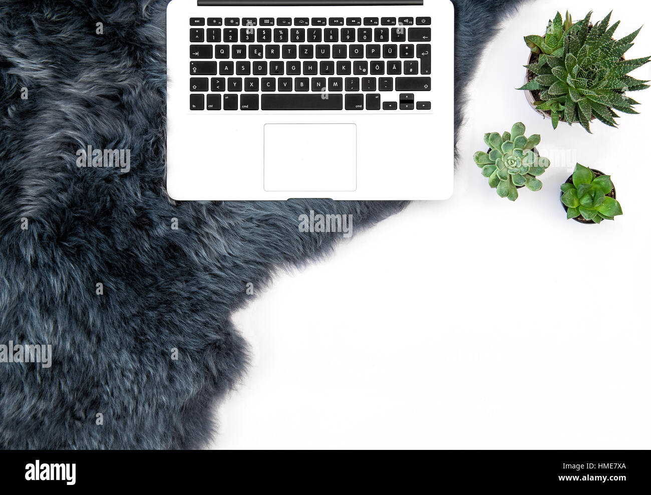 Laptop, Sukkulenten, Pelz Hintergrund. Büroarbeitsplatz. Wohnung lag mock up für social-Media-blog Stockfoto