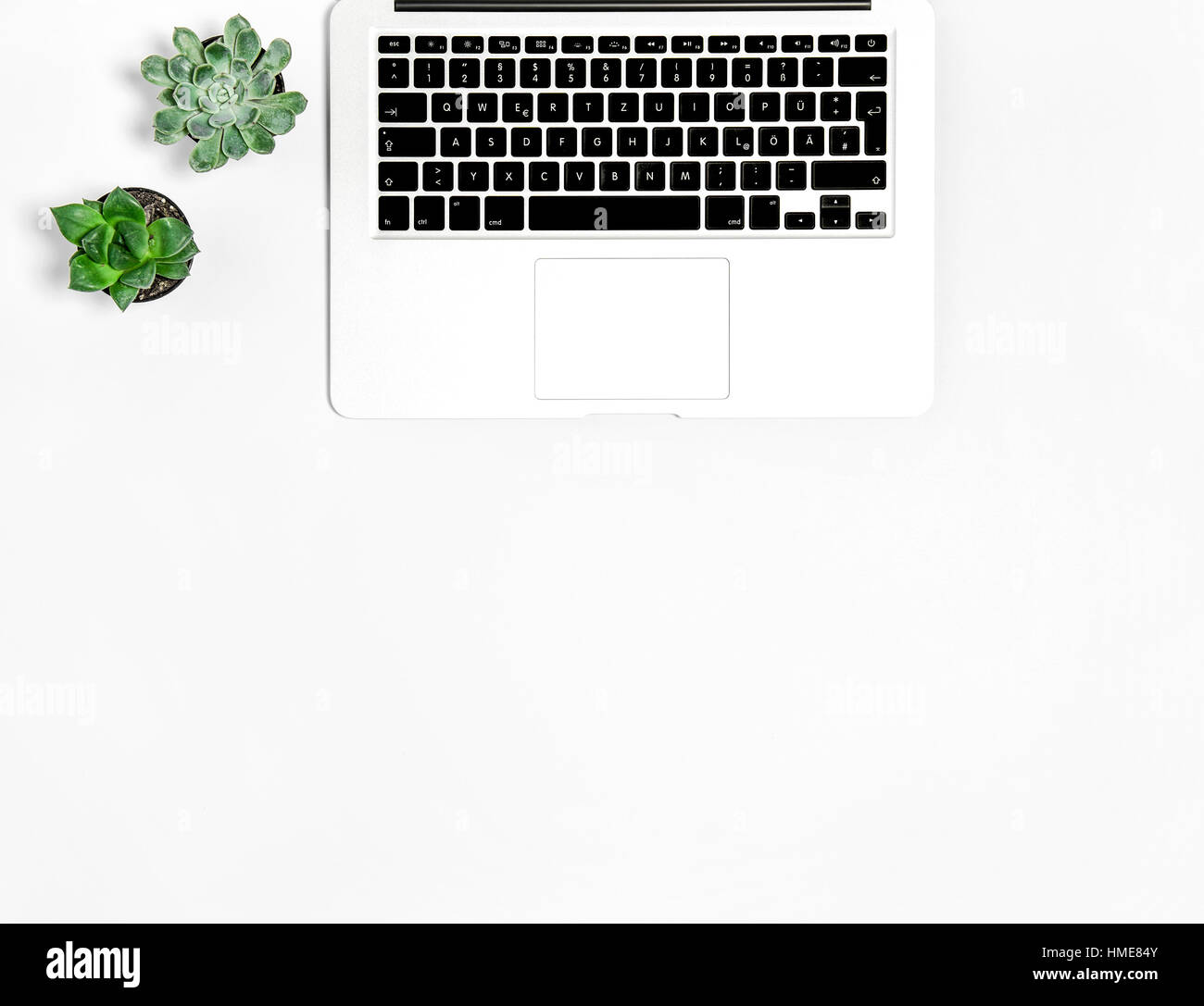 Laptop und Sukkulenten Pflanzen auf weißem Hintergrund. Büroarbeitsplatz. Wohnung lag mock-up Stockfoto