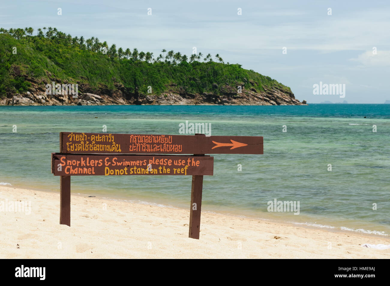 Tropische Strände mit Kokospalmen, Ko Pha-Ngan, Thailand. Melden Sie sich am Riff Stockfoto