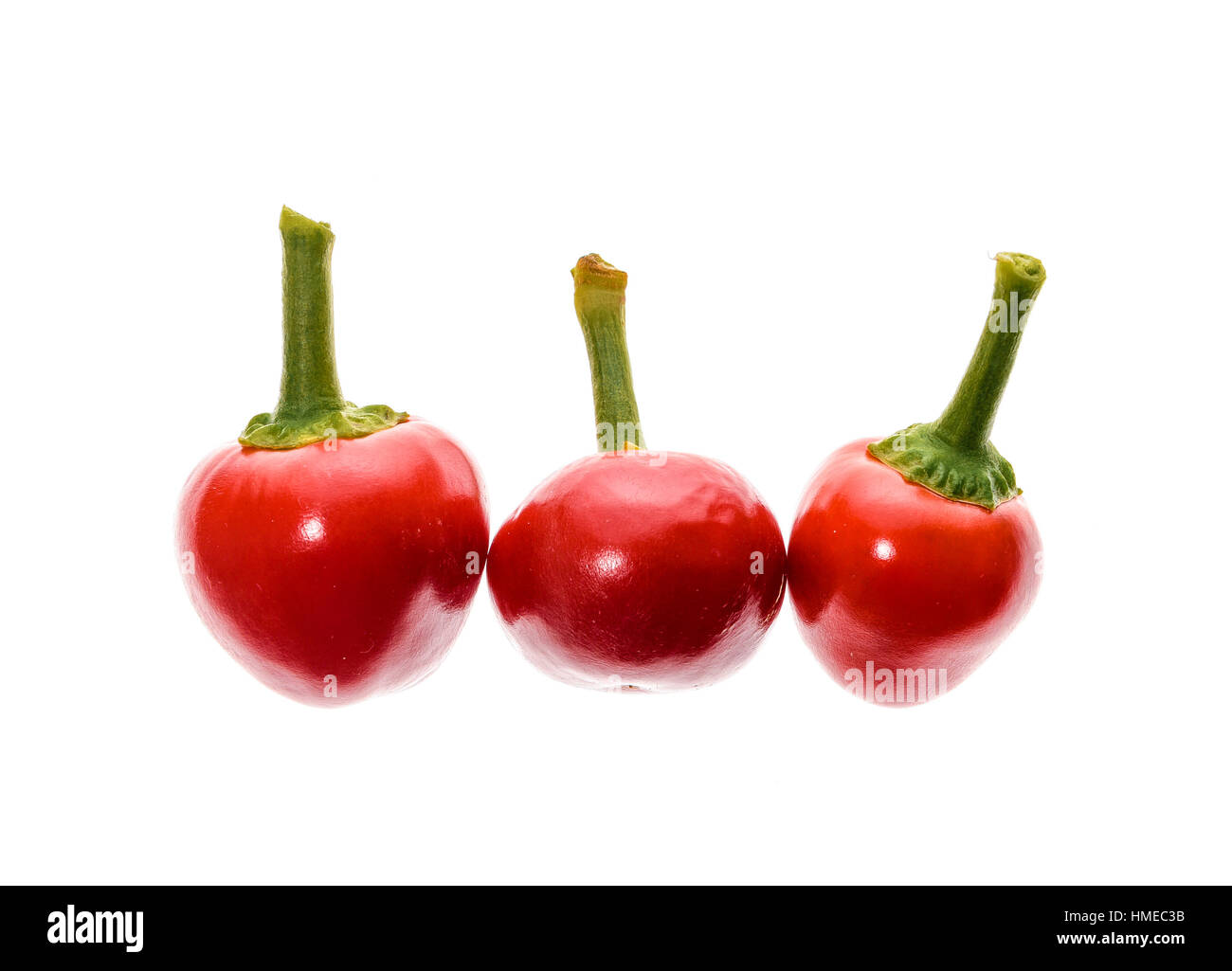 Hot big Kirschrot Paprika Chili isoliert auf weißem Hintergrund. Sehr beliebte Sorte Chili für Füllung und Beizen. Stockfoto