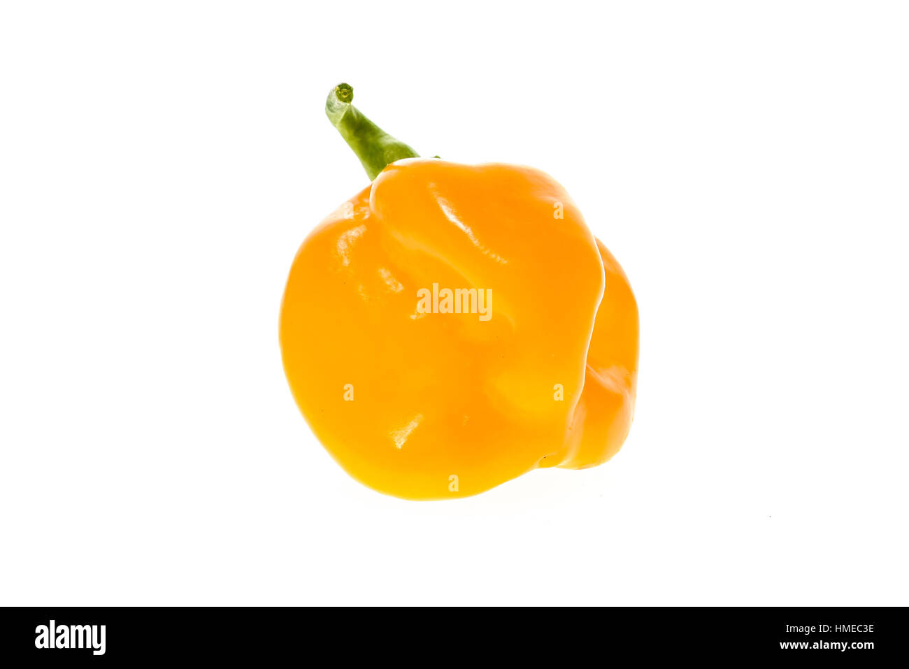 Frisches gelb orange Reife Habanero Chilischote aus der Karibik oder Mexiko. Isoliert auf weiss. Stockfoto