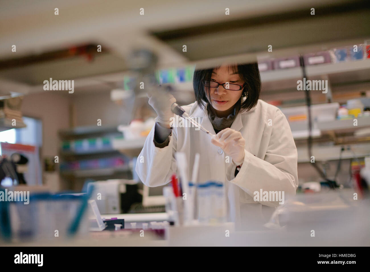 Asiatische Wissenschaftler in einem biomedizinische Labor pipettieren Stockfoto